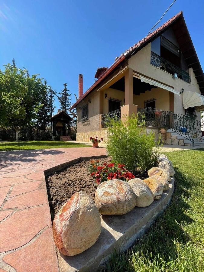 Villa Katerina Nea Kallikrateia Exteriör bild