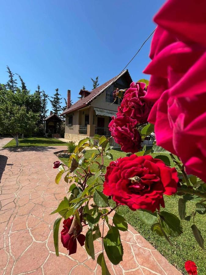 Villa Katerina Nea Kallikrateia Exteriör bild